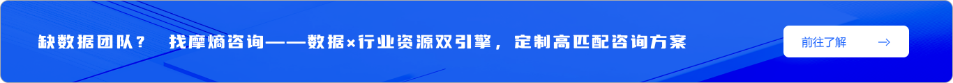 缺数据团队？找摩熵咨询——数据×行业资源双引擎，定制高匹配咨询方案